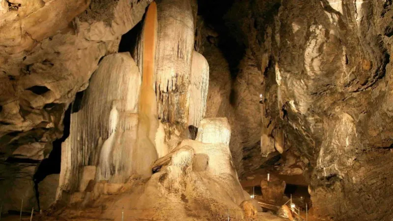 Wellington Caves Tour