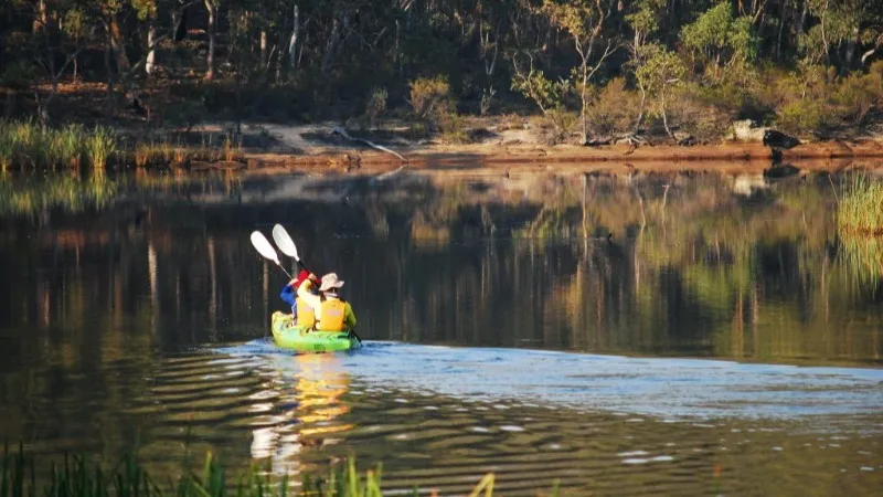 SOUTHERN CROSS KAYAKING Guided Kayak Tours - Dunns Swamp