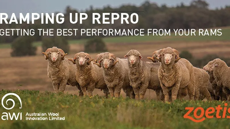 RAMping Up Repro - Dunedoo